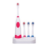 Pandaren Enfants & adultes : un nettoyage quasi-professionnel Brosse à dent électrique Pandaren